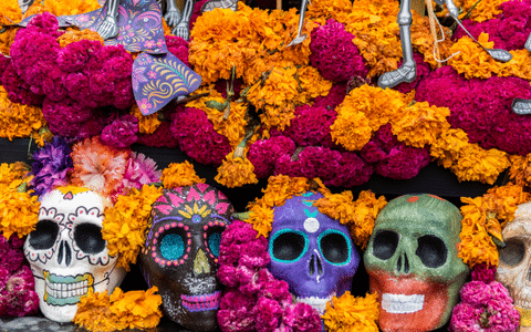 Muertos Makers Market at Hotel Contessa